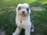 Hendrix on 10 10 05.jpg