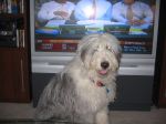 Hendrix on 3 26 06 001.jpg