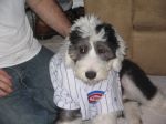 Hendrix ready for a ballgame.jpg