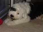 Max (136).JPG