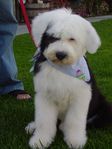 Max (203).JPG