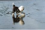 Pash at the Beach..jpg