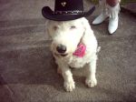 maggie at line dance party.JPG