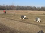 IMG_1837.JPG