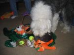 IMG_2818.JPG