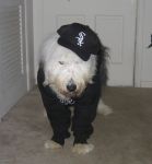 White Sox fan 2.JPG