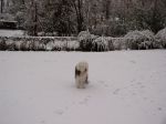 snow5.jpg