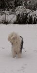 snow6.jpg