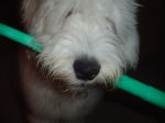 DSC01114.JPG