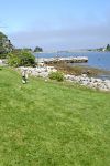 DSC01669.jpg