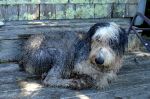 DSC01786.jpg