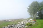 DSC01842.jpg