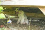 DSC01859.jpg