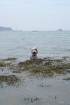 DSC01865.jpg