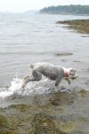 DSC01866.jpg