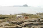 DSC01872.jpg