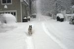 DSC01993.jpg