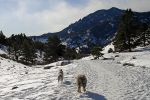 DSC02262.jpg