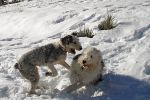 DSC02264.jpg