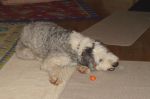 DSC02553.JPG