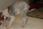 DSC02555.JPG