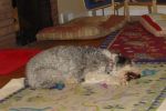 DSC02557.JPG