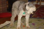 DSC02564.JPG