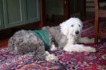 DSC03524.JPG