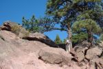 DSC03629.JPG