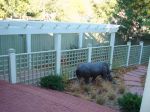 DSC03756.JPG