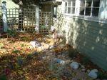 DSC03767.JPG