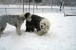 Feb12-046.jpg
