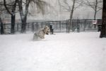 Feb12-056.jpg
