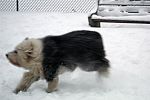 Feb12-062.jpg