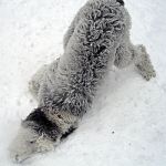 Feb12-073.jpg