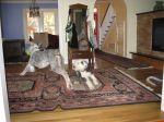 IMG_0126.jpg