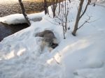 IMG_0159.JPG
