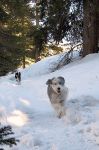 IMG_0208.JPG