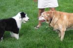 IMG_0326.JPG