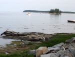 P1010028.jpg
