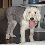 chumleigh-july2005.jpg