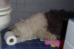 feb24ish-004.jpg