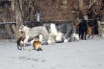 feb24ish-043.jpg