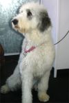 feb24ish-058.jpg