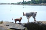 maine 025.jpg