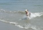 surf maggie.JPG