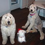 xmas-sheepie-04.jpg