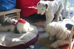 xmas-sheepie-05.jpg