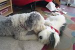 xmas-sheepie-07.jpg