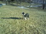 DSC00007.JPG
